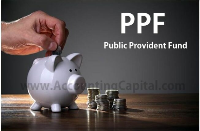 Public Provident Fund