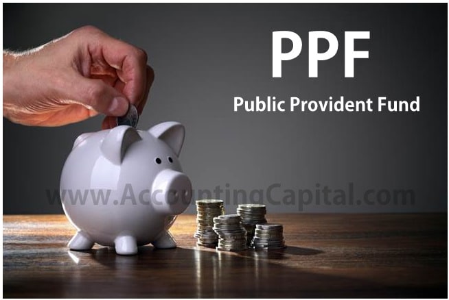 Public Provident Fund