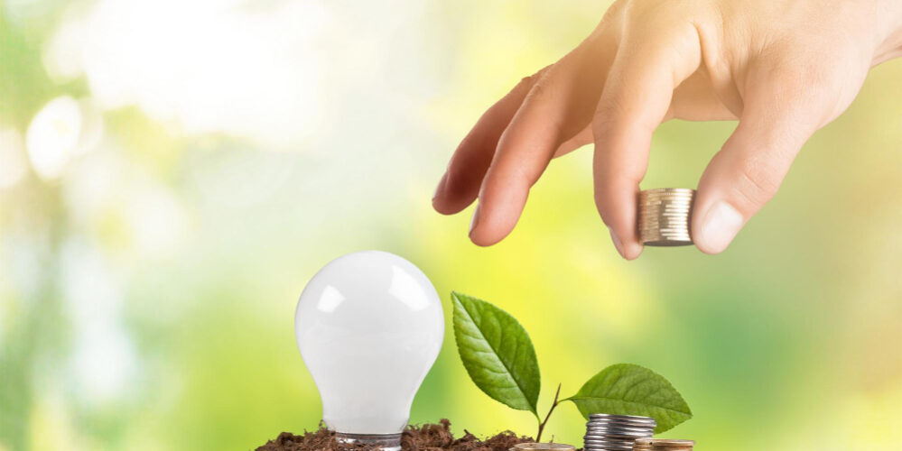 hand with coins and plant