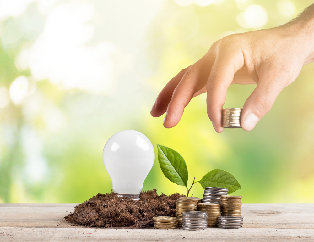 hand with coins and plant